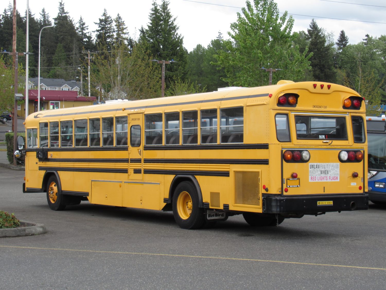 2003 Blue Bird All American 81 Passenger School Bus - B13148 - Image 4