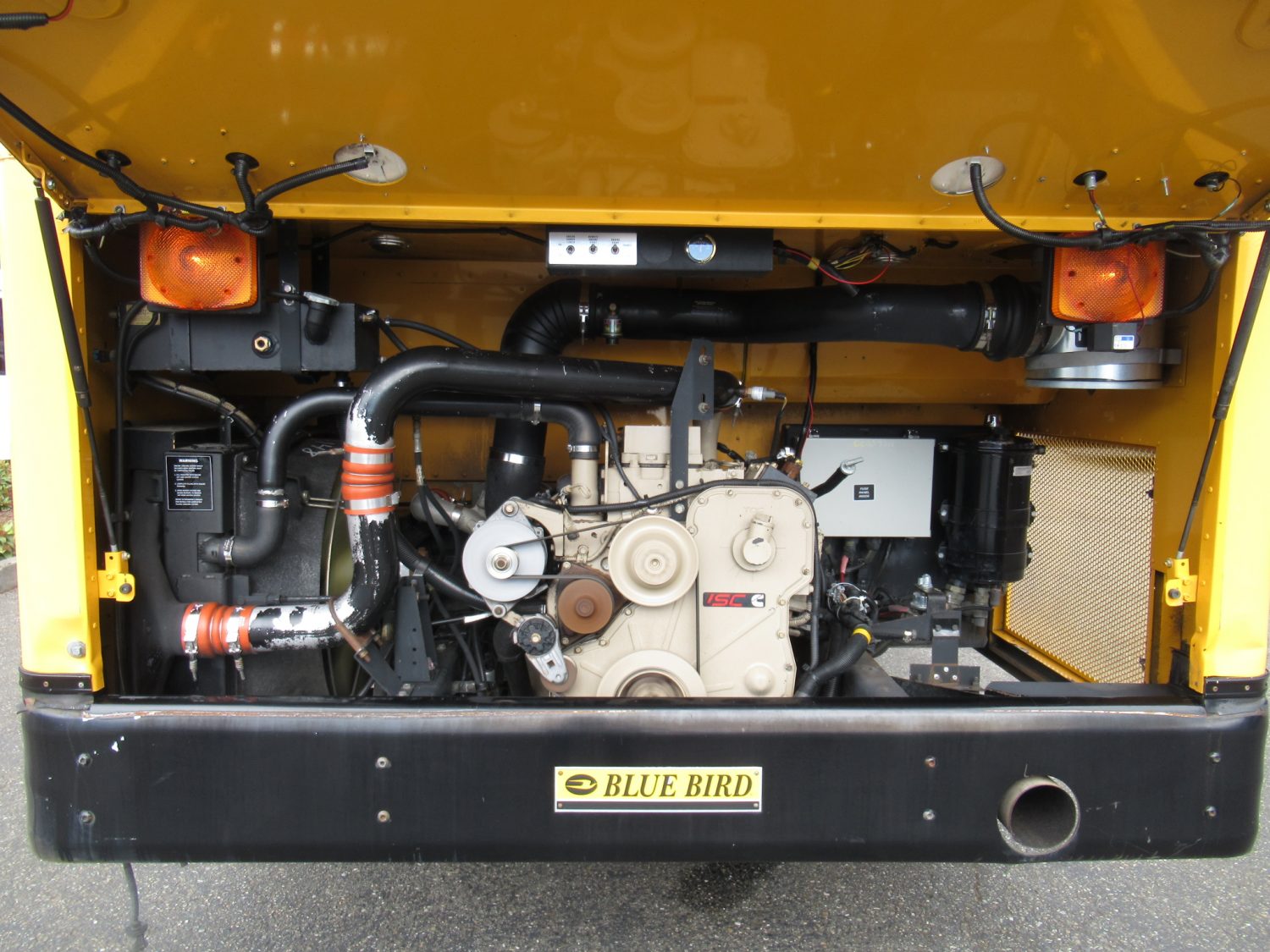 2003 Blue Bird All American 81 Passenger School Bus - B13148 - Image 10