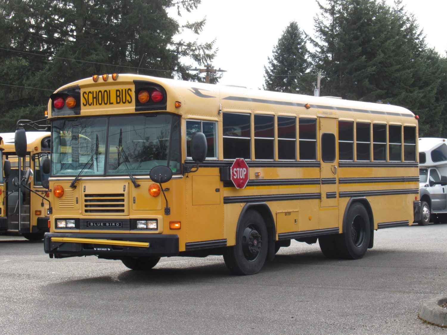 2006 Blue Bird All American 24 Passenger + 1 Wheelchair ADA Short School Bus - B33318 - Image 2