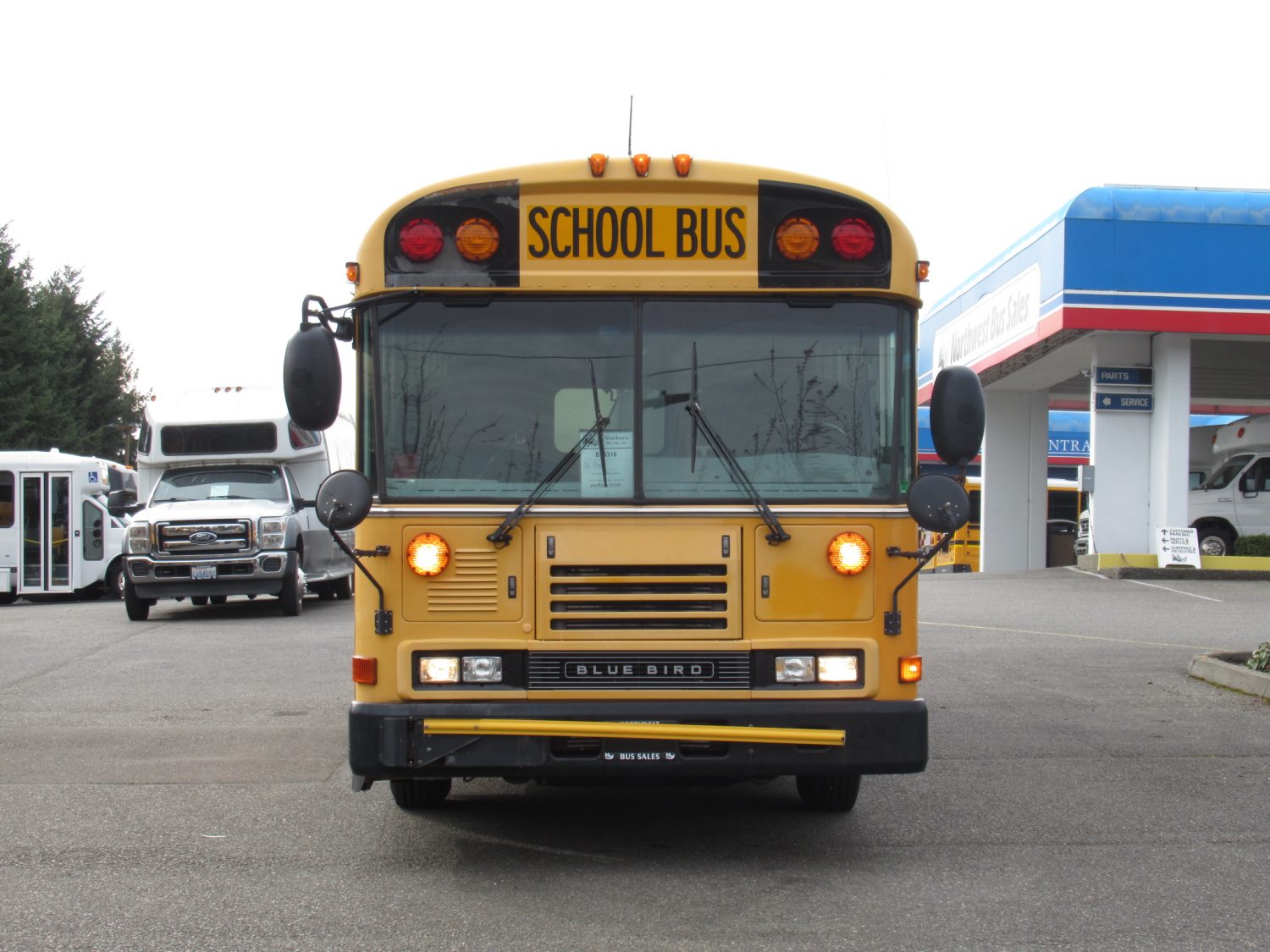 2006 Blue Bird All American 24 Passenger + 1 Wheelchair ADA Short School Bus - B33318 - Image 12