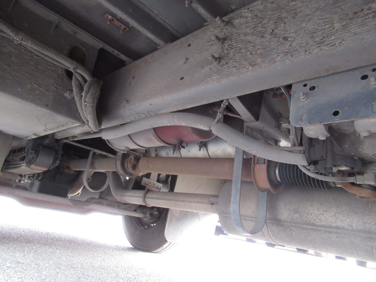 2006 Blue Bird All American 24 Passenger + 1 Wheelchair ADA Short School Bus - B33318 - Image 10