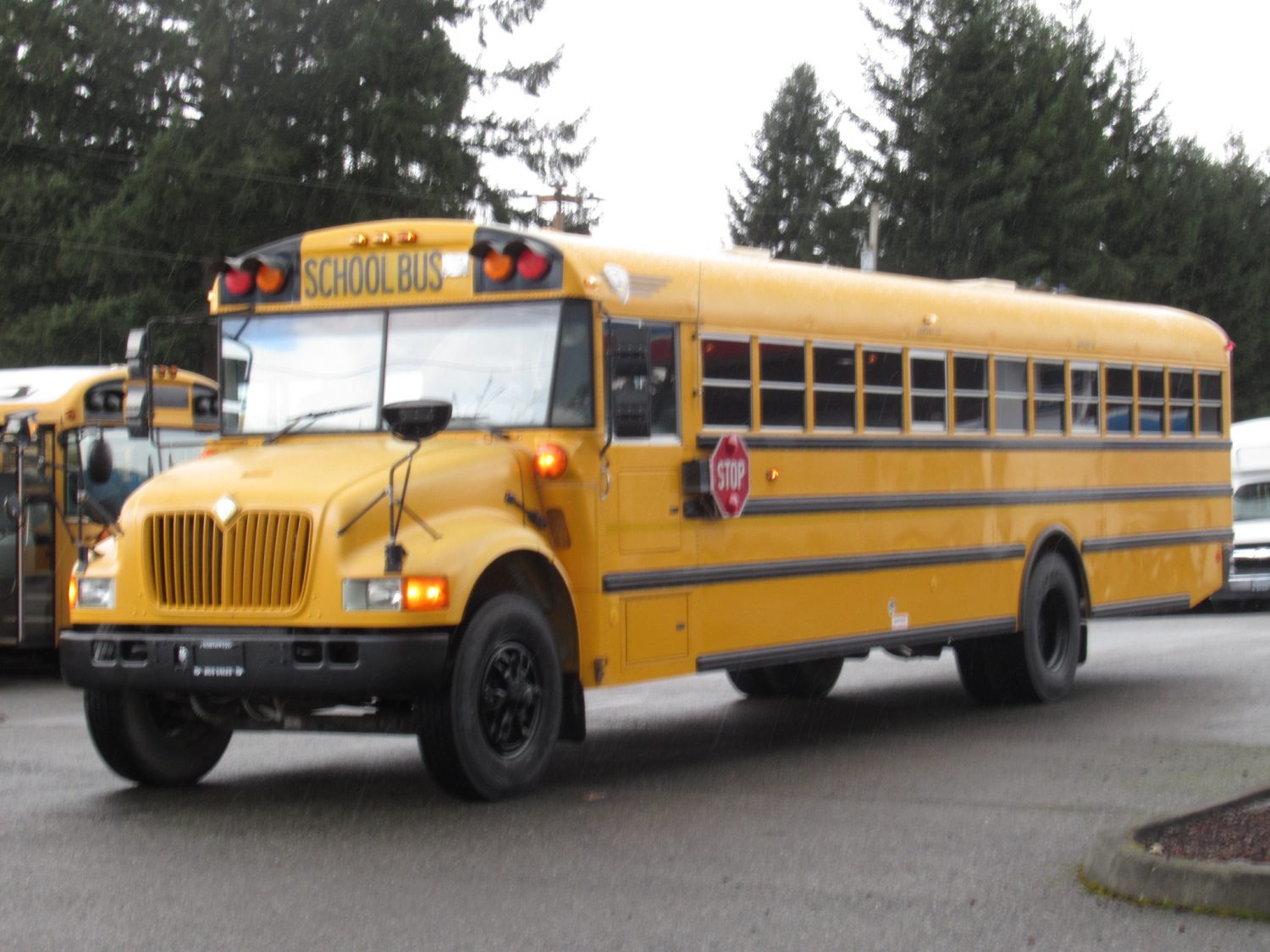 2003 International CE 77 Passenger School Bus - B58101 - Image 2