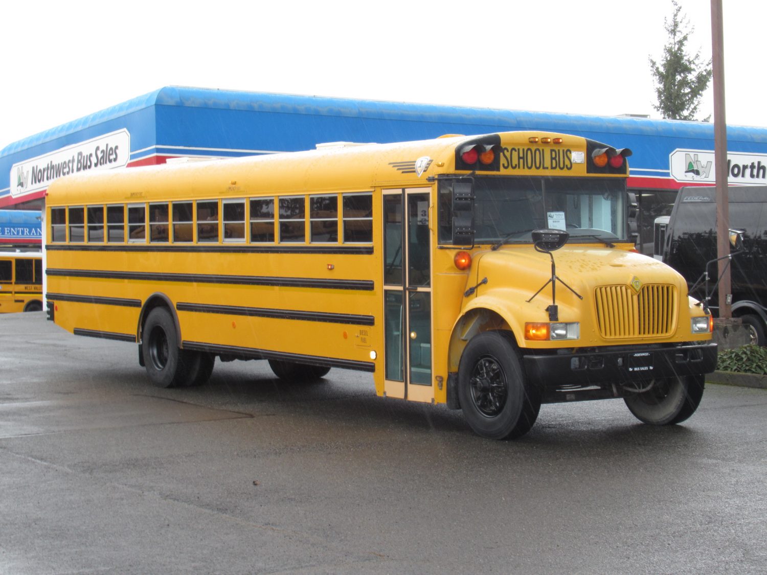 2003 International CE 77 Passenger School Bus - B58101