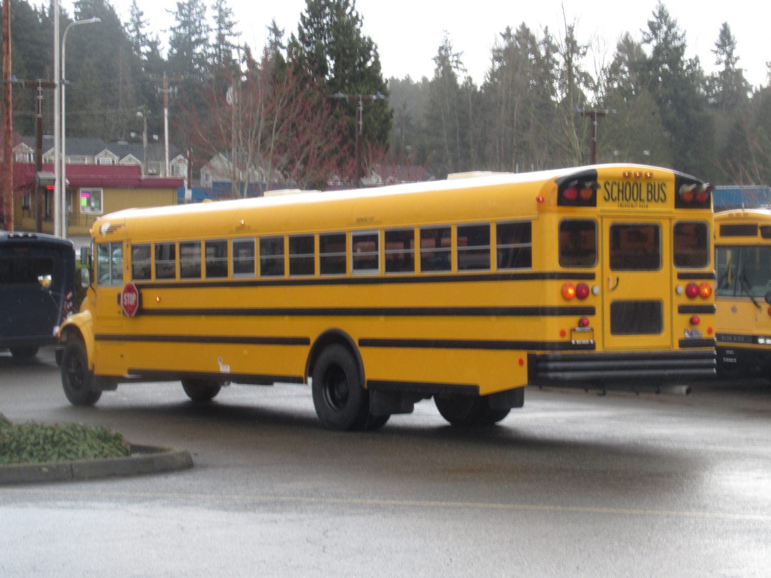 2003 International CE 77 Passenger School Bus - B58101 - Image 4