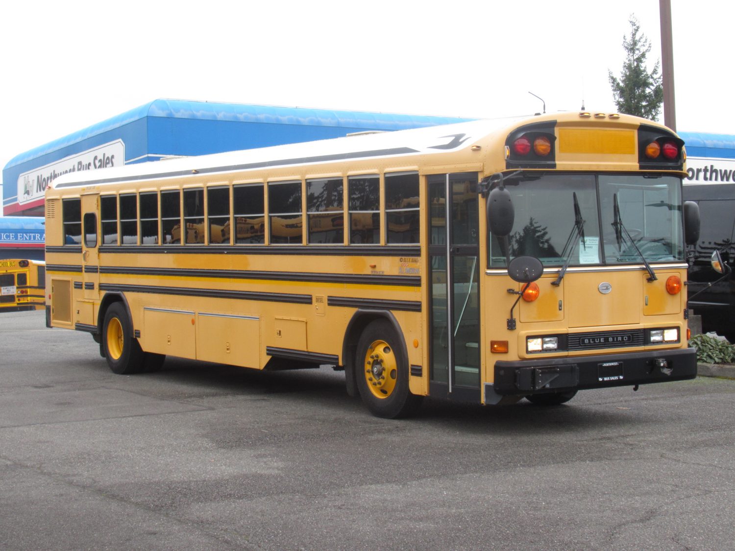 2007 Bluebird All American 84 Passenger School Bus - B38882