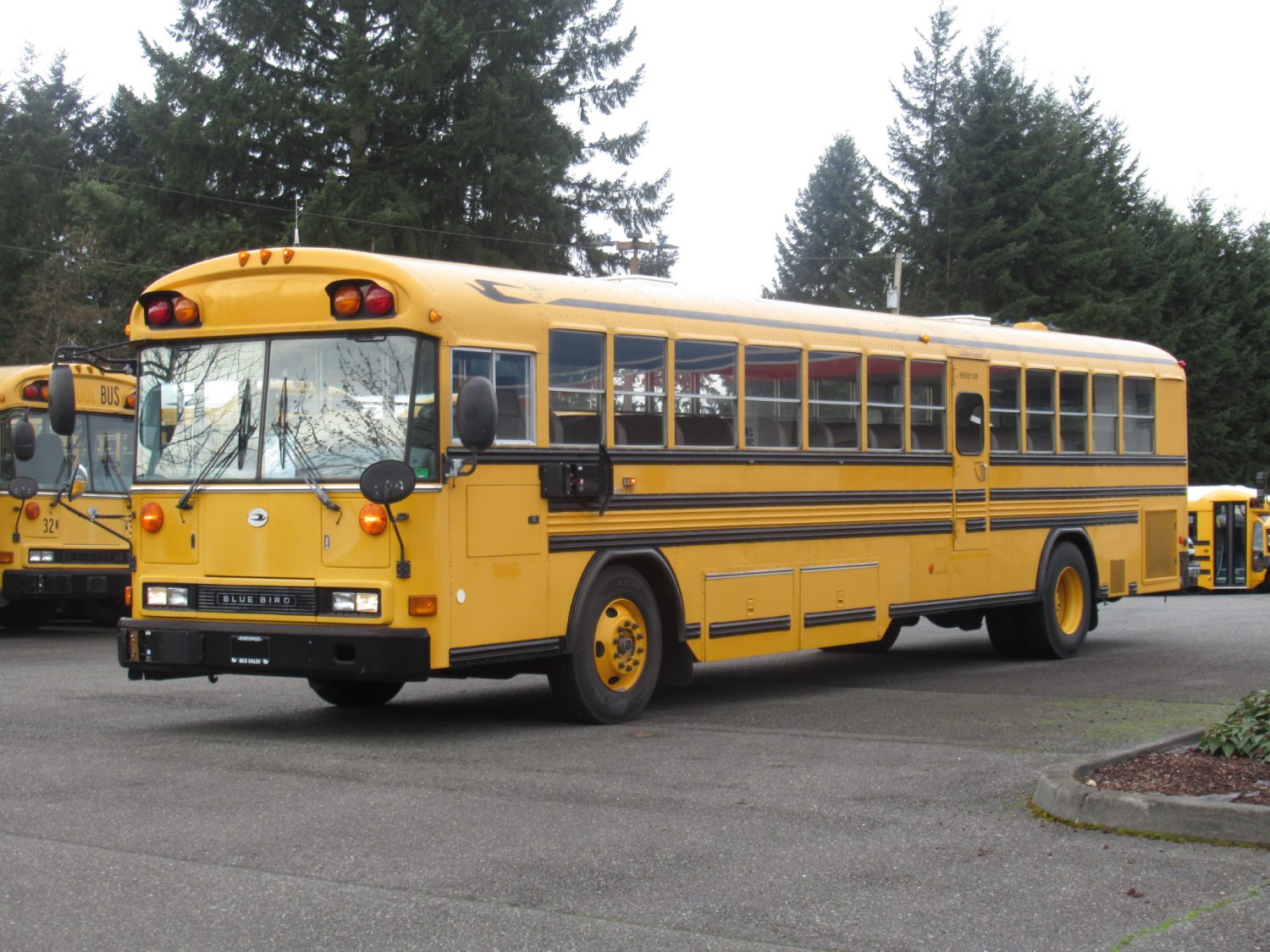 2003 Blue Bird All American 81 Passenger School Bus - B13150 - Image 2
