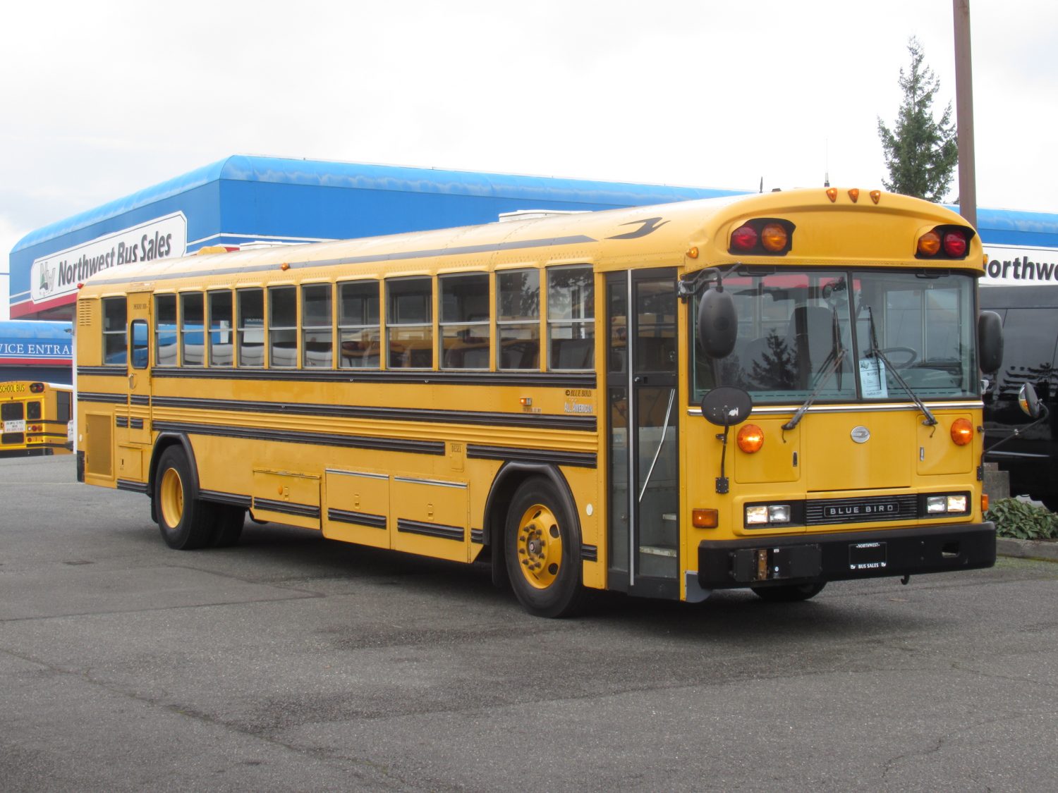 2003 Blue Bird All American 81 Passenger School Bus - B13150