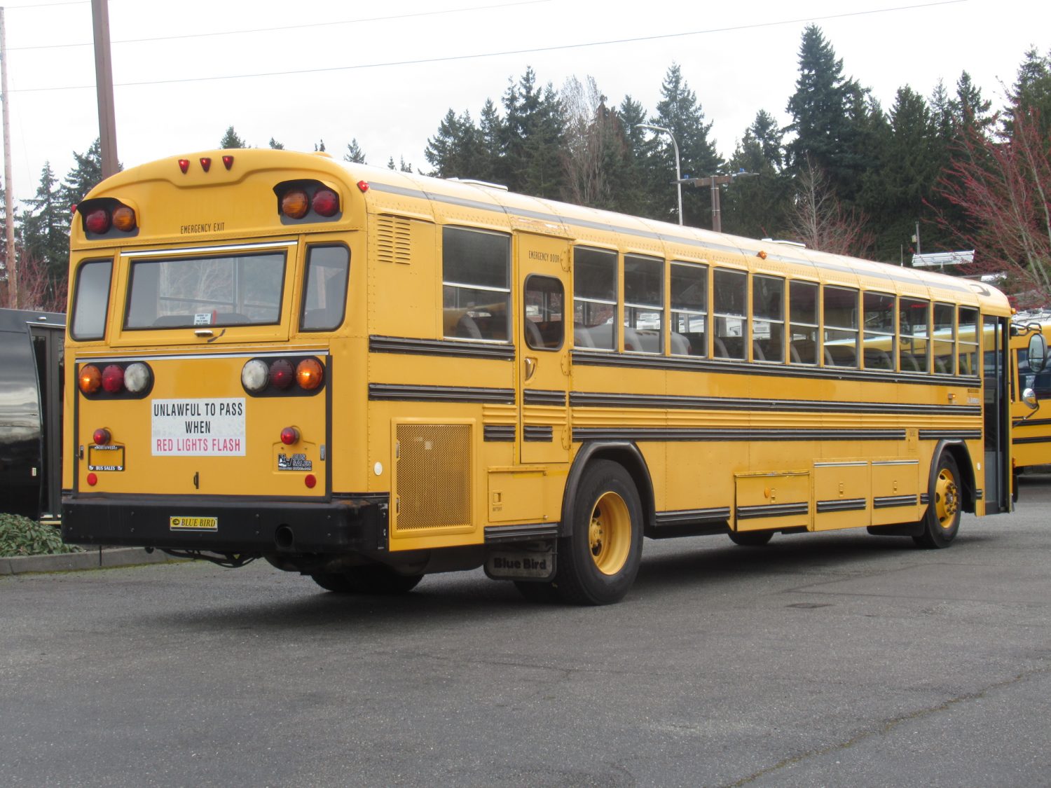 2003 Blue Bird All American 81 Passenger School Bus - B13150 - Image 3