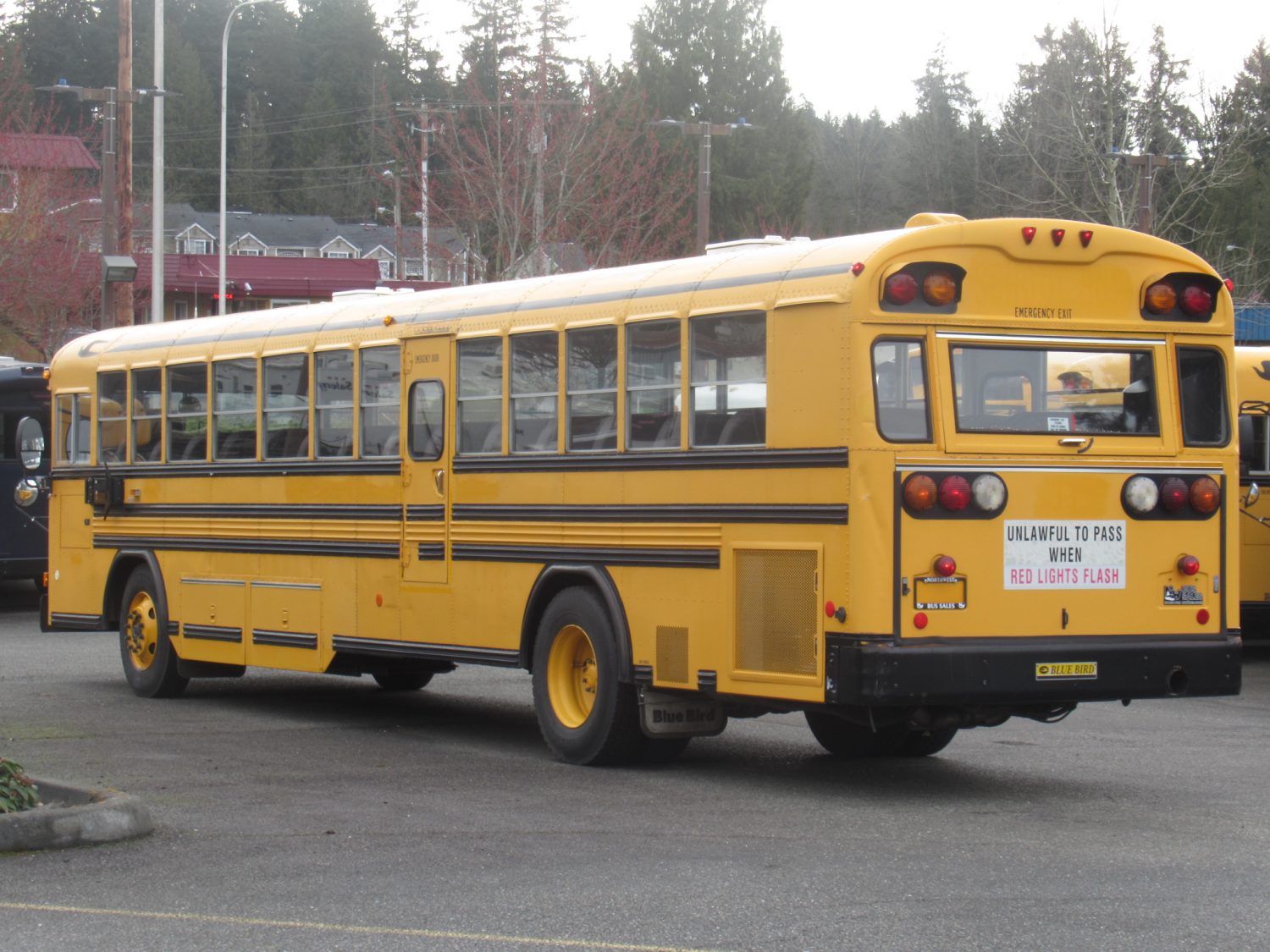 2003 Blue Bird All American 81 Passenger School Bus - B13150 - Image 4