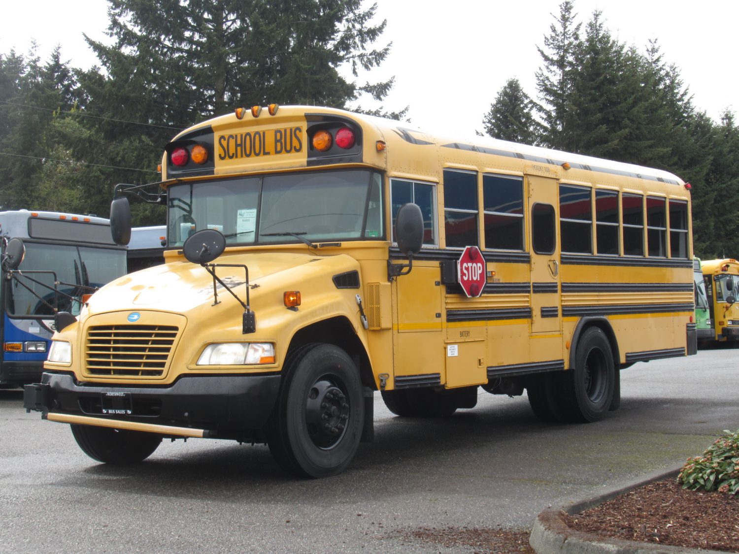 2008 Bluebird Vision 16+2 ADA Short School Bus - B49893 - Image 2
