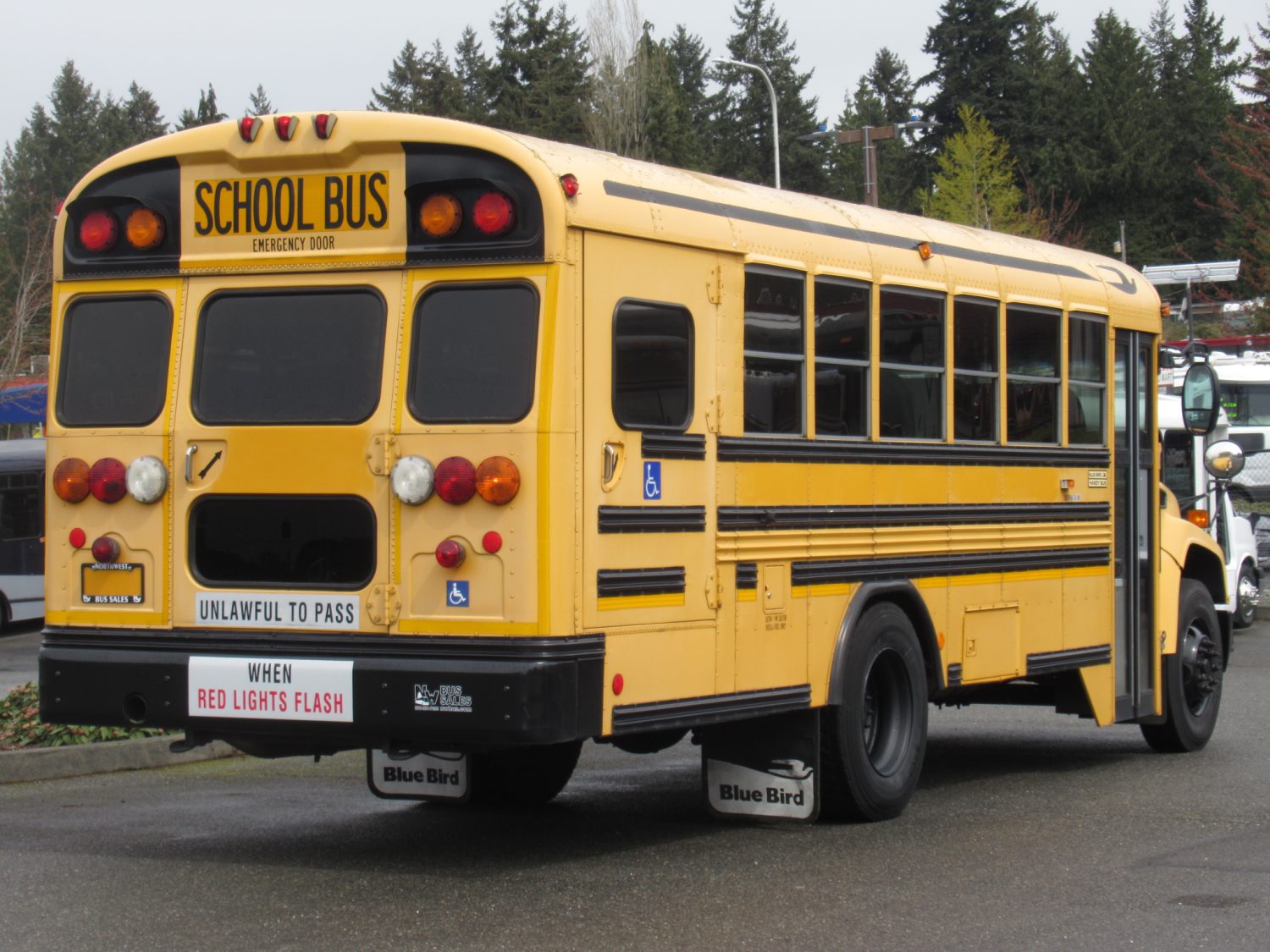 2008 Bluebird Vision 16+2 ADA Short School Bus - B49893 - Image 3