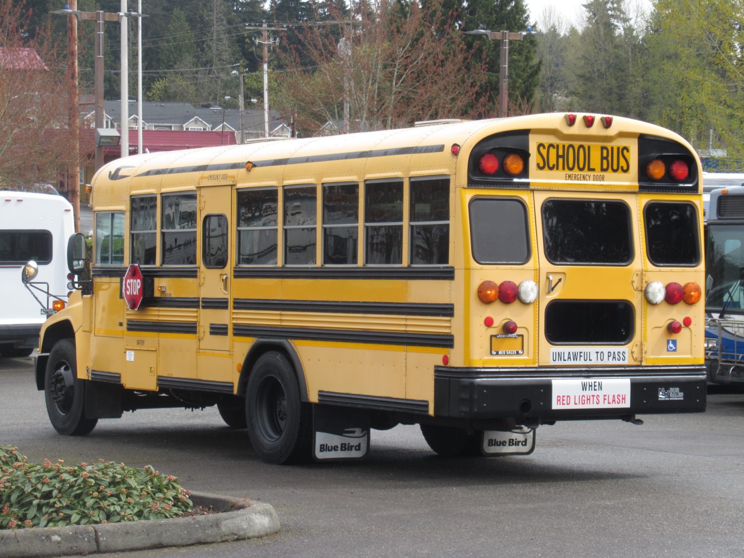2008 Bluebird Vision 16+2 ADA Short School Bus - B49893 - Image 4