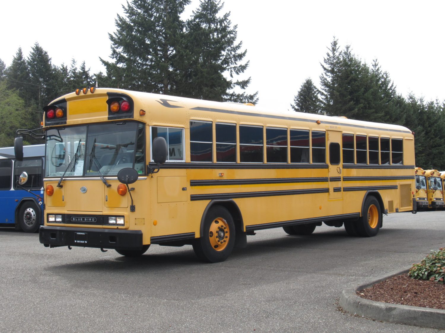 2006 Blue Bird All American 78 Passenger School Bus - B37869 - Image 2