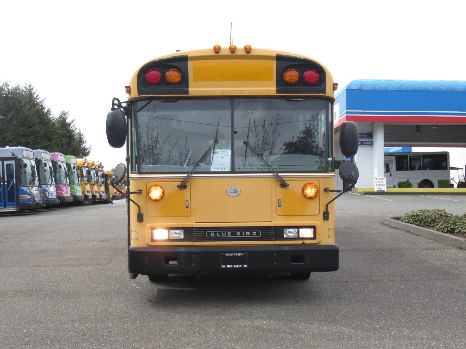 2006 Blue Bird All American 78 Passenger School Bus - B37869 - Image 12
