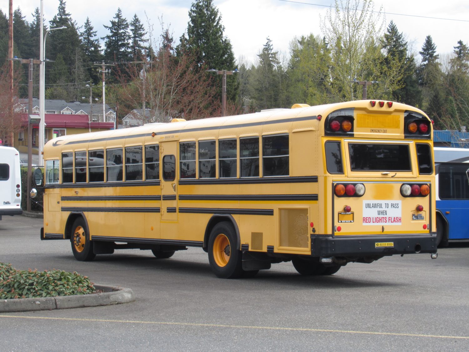 2006 Blue Bird All American 78 Passenger School Bus - B37869 - Image 4