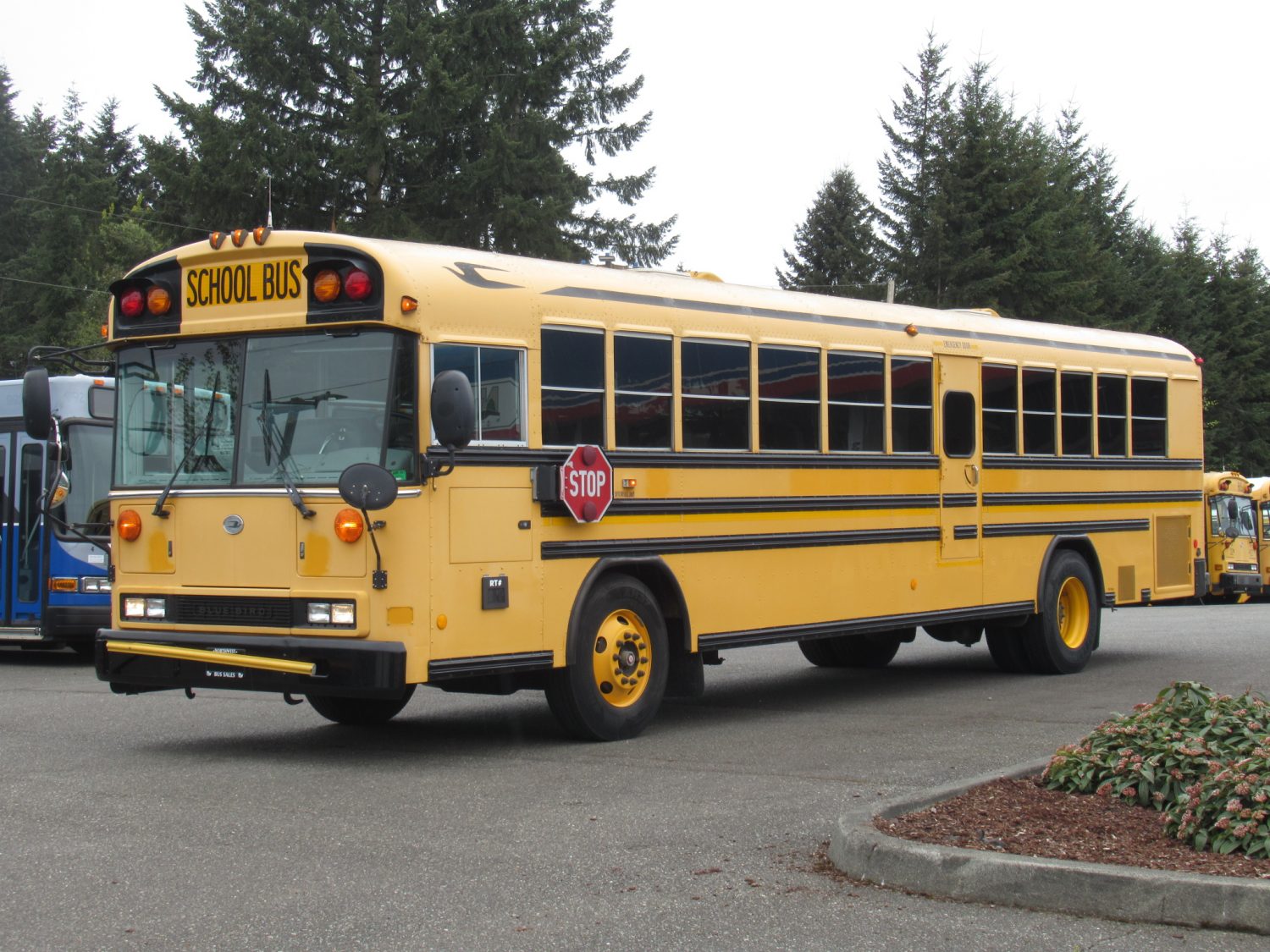 2006 Blue Bird All American 78 Passenger School Bus - B37867 - Image 2