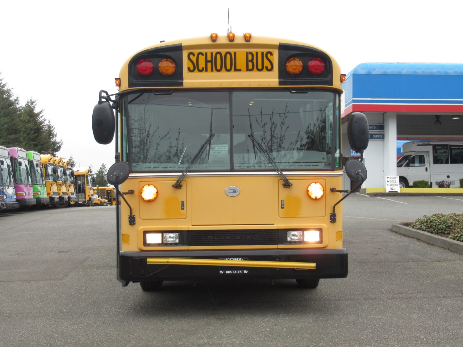 2006 Blue Bird All American 78 Passenger School Bus - B37867 - Image 12