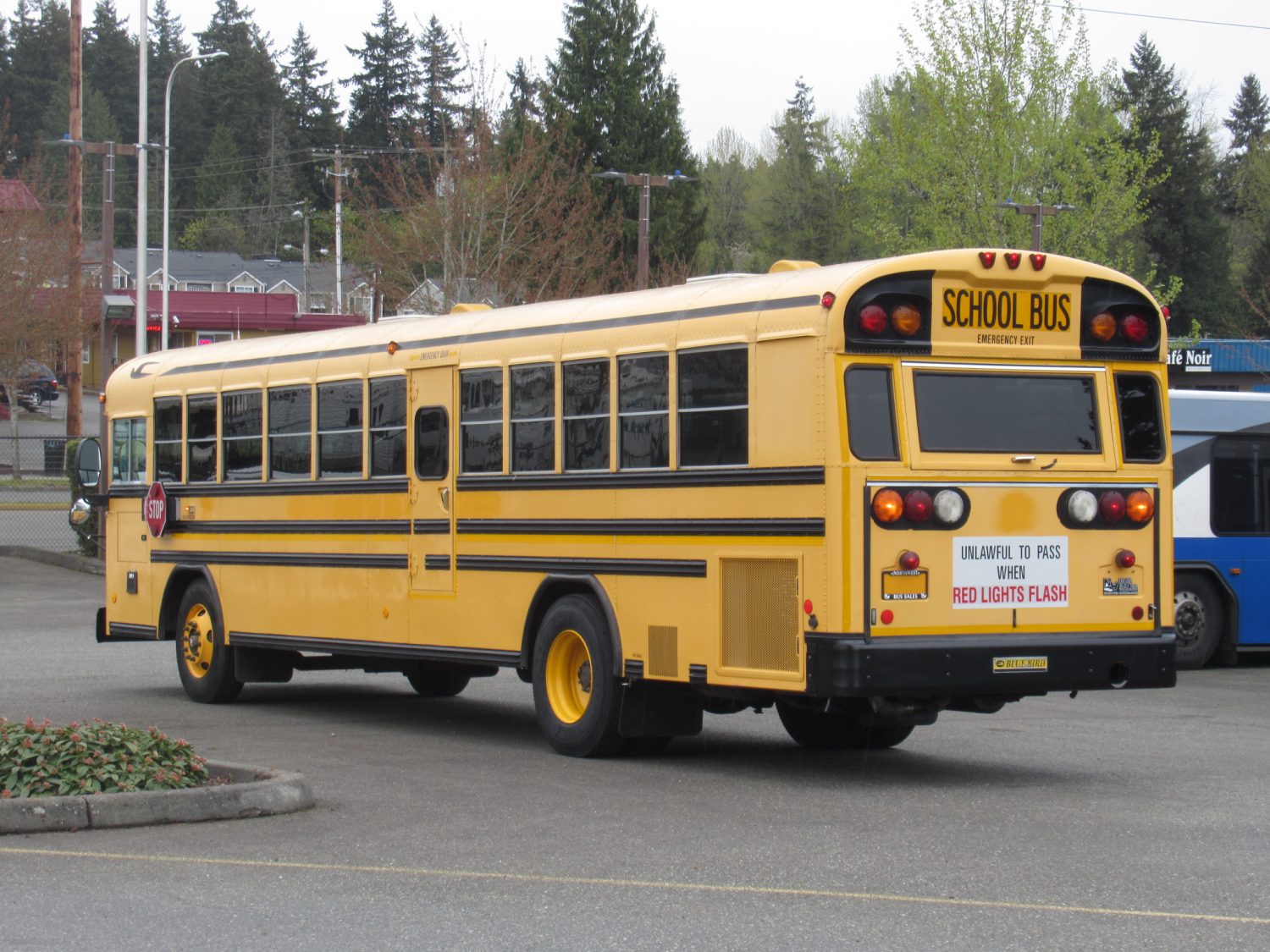2006 Blue Bird All American 78 Passenger School Bus - B37867 - Image 4