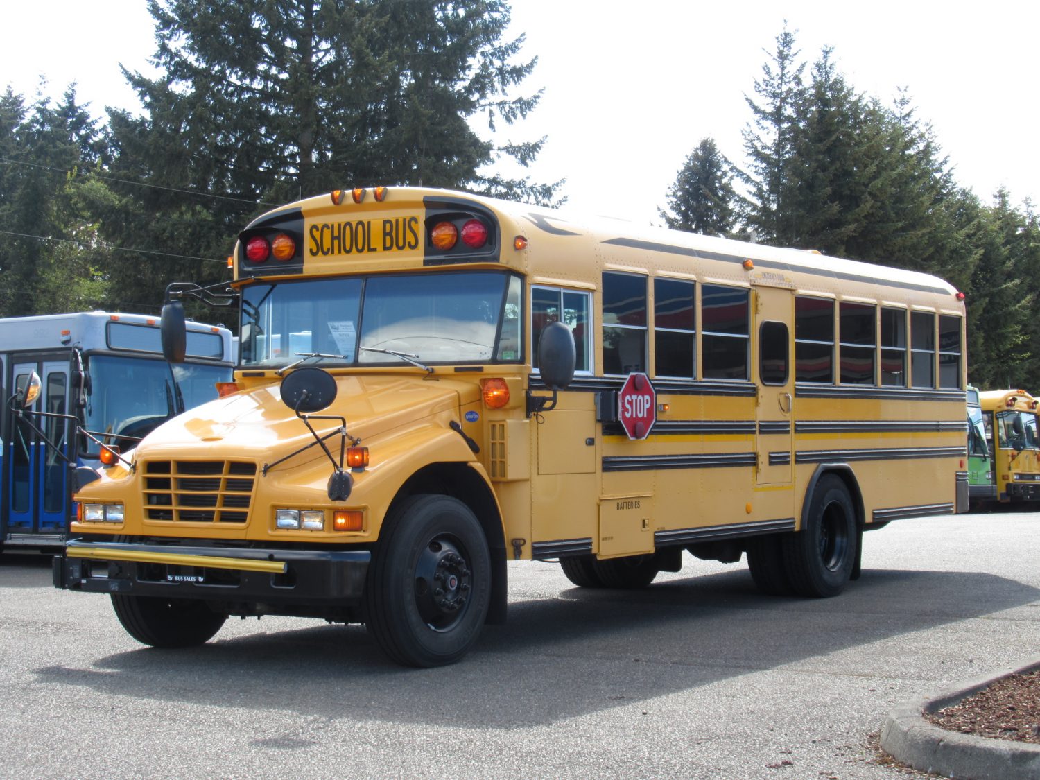 2006 Bluebird Vision 53 Passenger Short School Bus - B37832 - Image 2