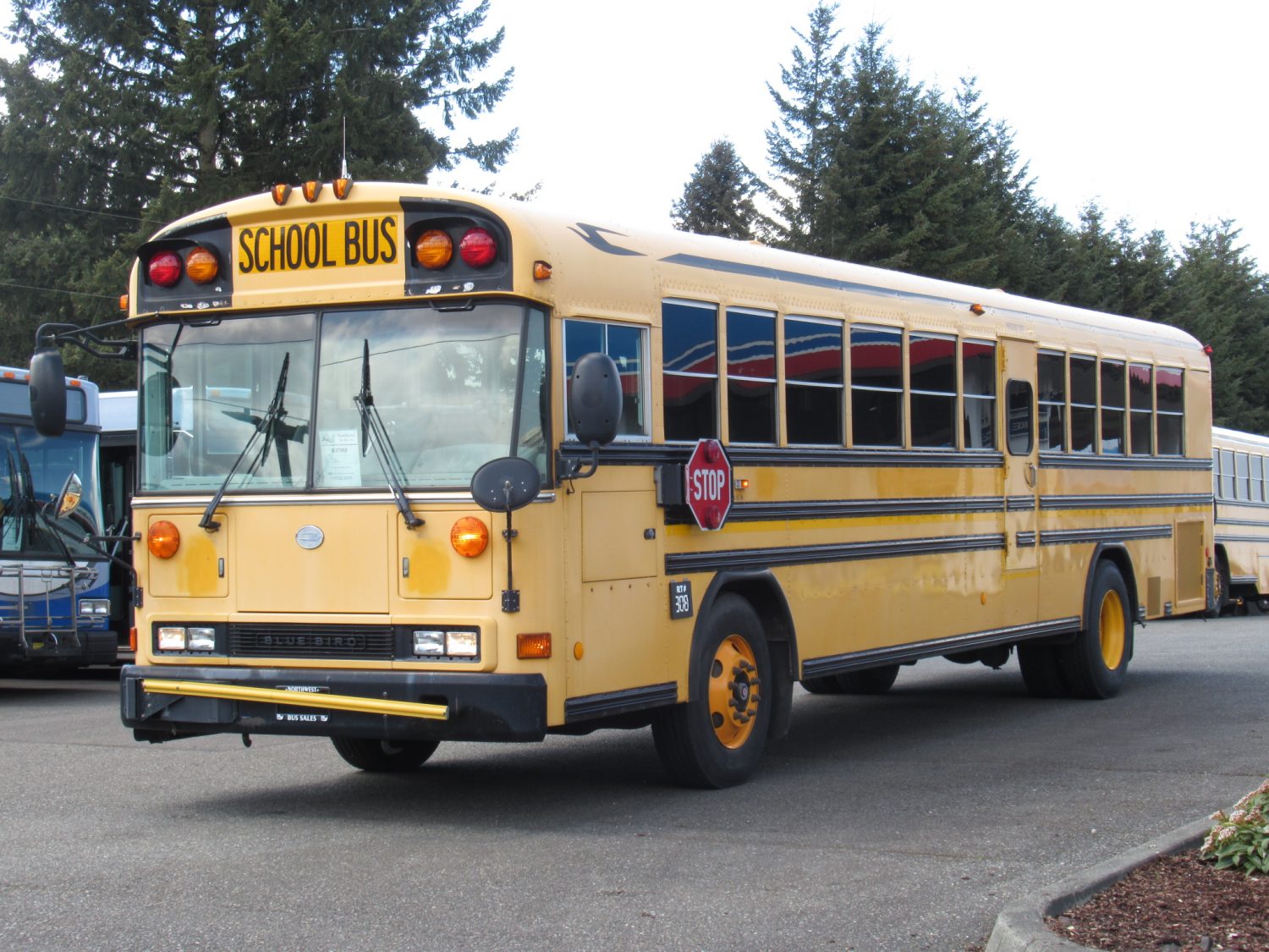 2006 Blue Bird All American 78 Passenger School Bus - B37868 - Image 2