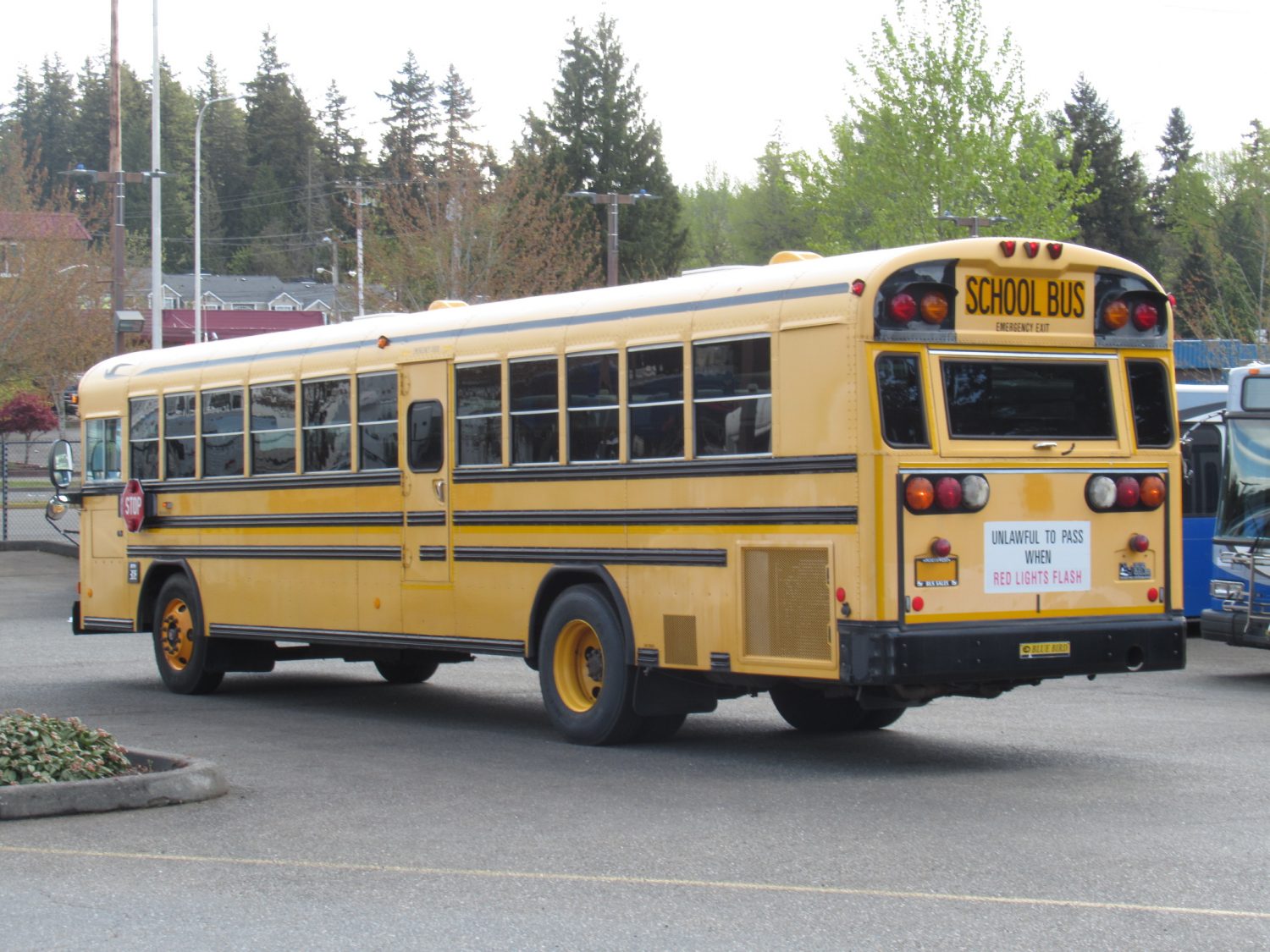 2006 Blue Bird All American 78 Passenger School Bus - B37868 - Image 4