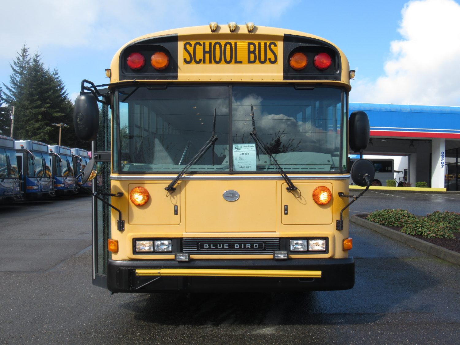 2008 Blue Bird All American 78 Passenger School Bus - B46193 - Image 12