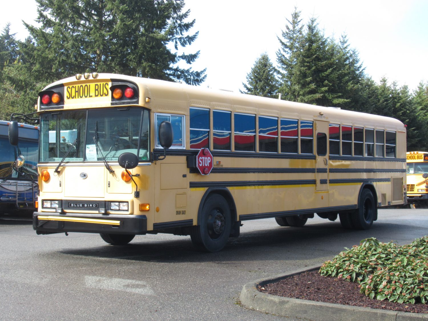 2008 Blue Bird All American 78 Passenger School Bus - B46193 - Image 2