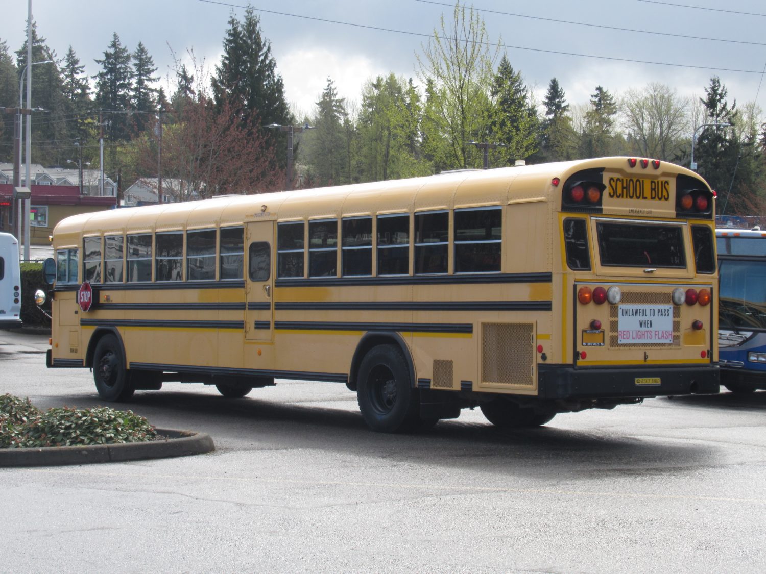 2008 Blue Bird All American 78 Passenger School Bus - B46193 - Image 4