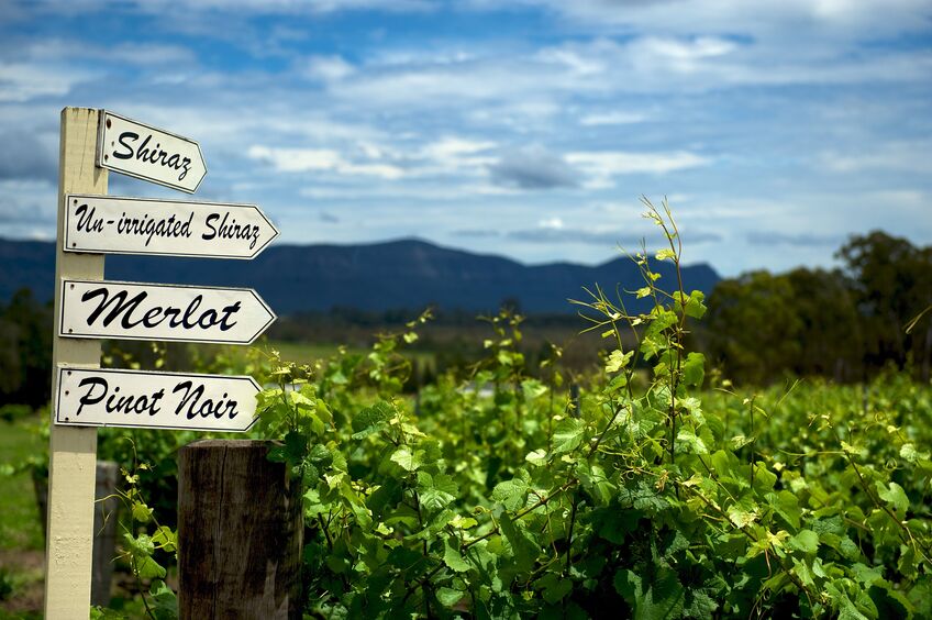 How to Plan the Perfect Wine Tour