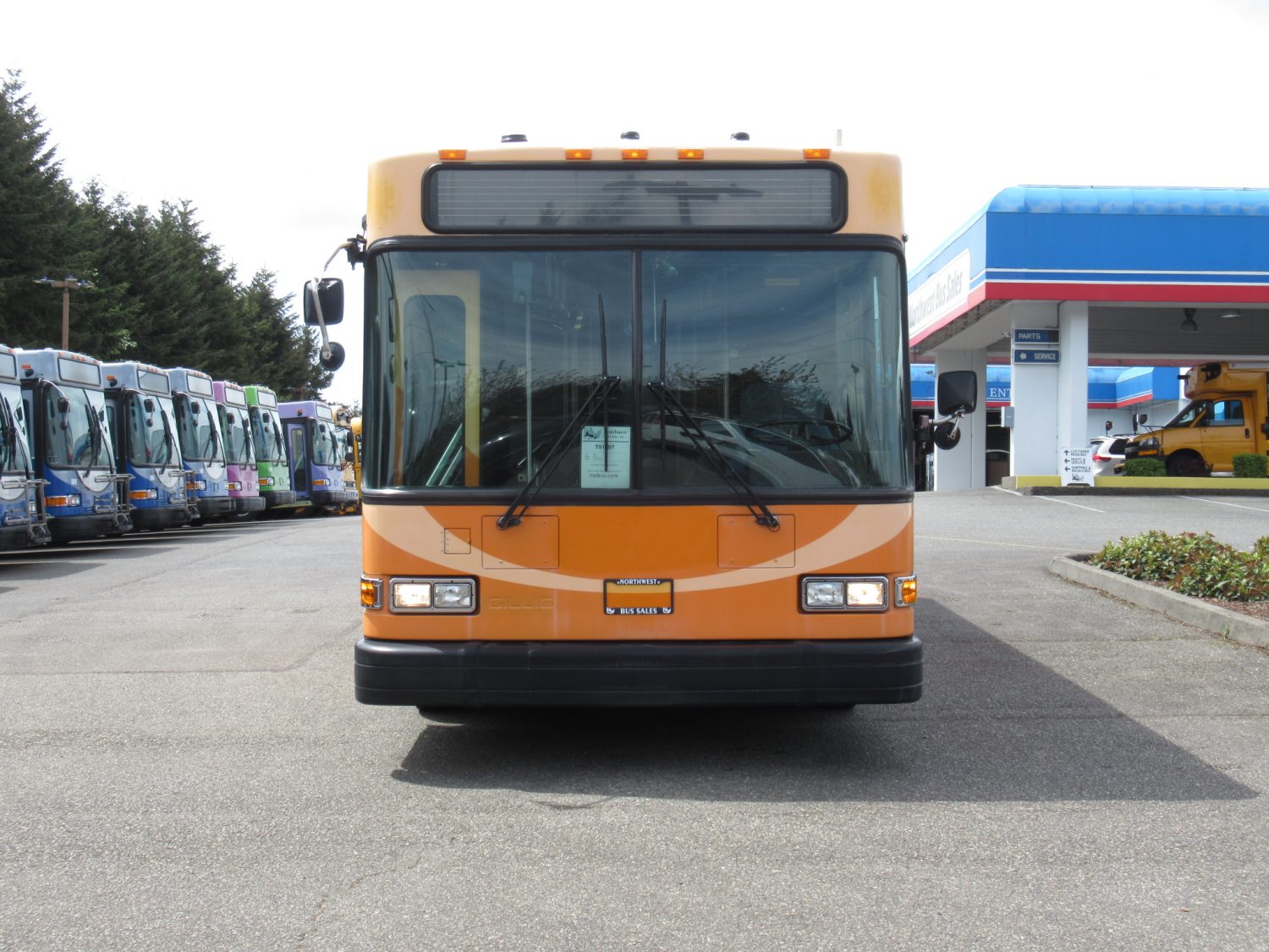 2005 Gillig Low Floor 23 Passenger ADA Transit Bus - T91097 - Image 12