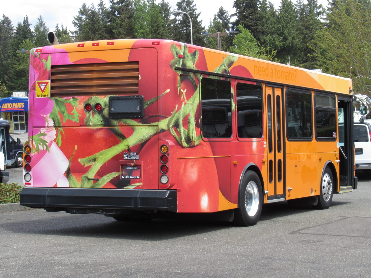 2005 Gillig Low Floor 23 Passenger ADA Transit Bus - T91097 - Image 3