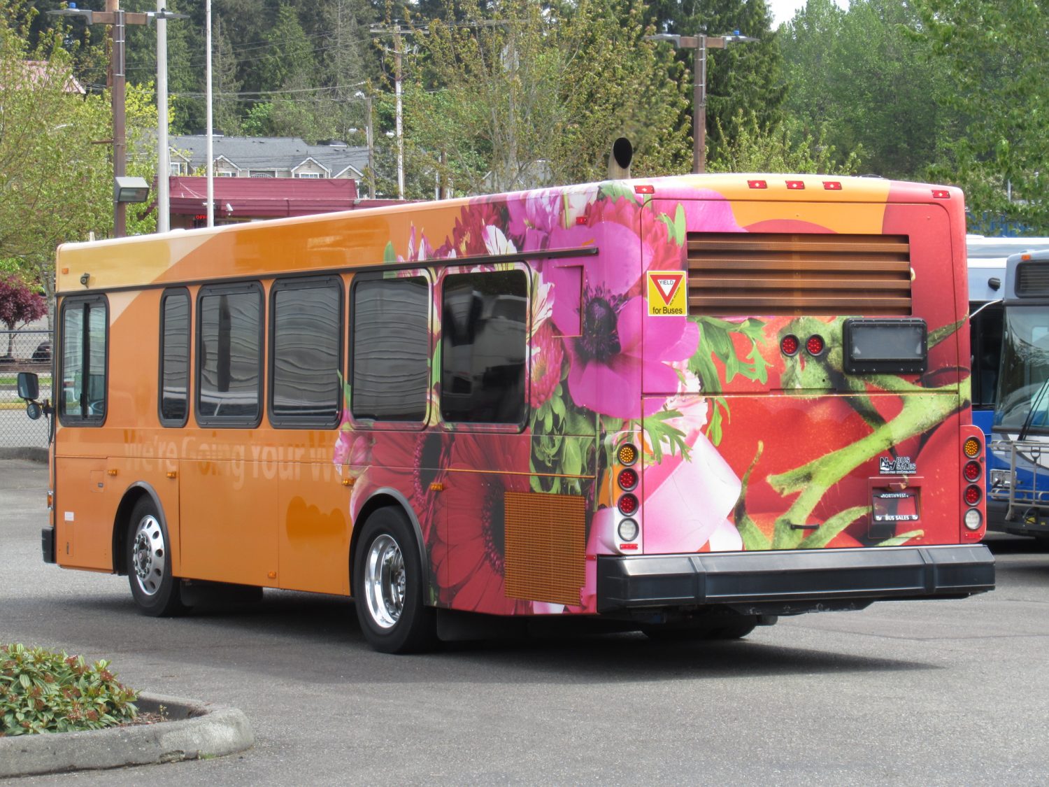 2005 Gillig Low Floor 23 Passenger ADA Transit Bus - T91097 - Image 4