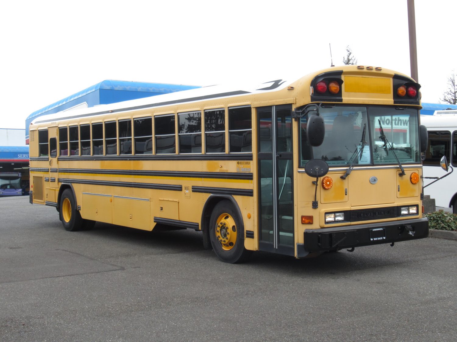2007 Bluebird All American 84 Passenger School Bus - B38881