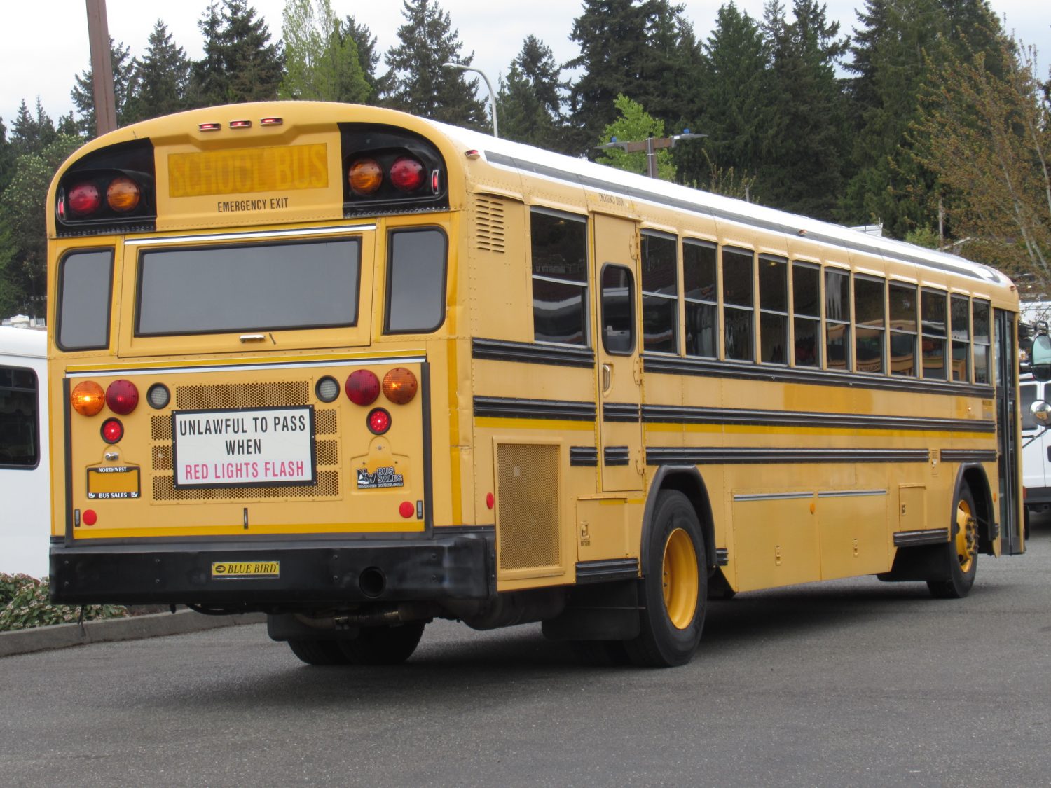 2007 Bluebird All American 84 Passenger School Bus - B38881 - Image 3