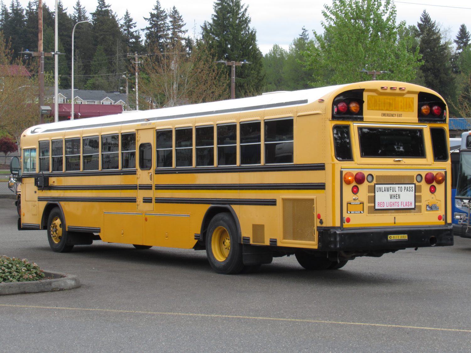 2007 Bluebird All American 84 Passenger School Bus - B38881 - Image 4