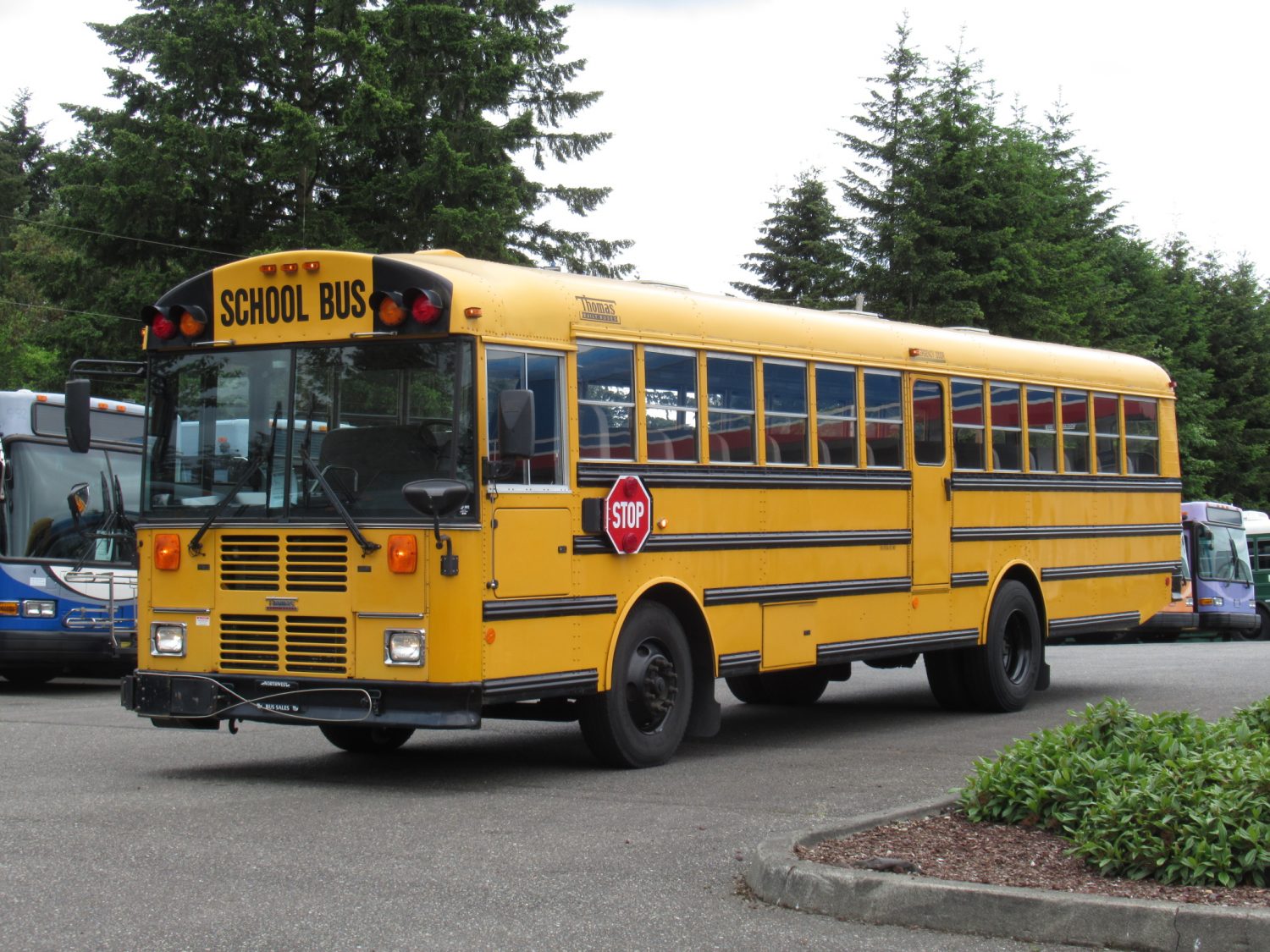 2007 Thomas Saf-T-Liner 78 Passenger School Bus - B74958 - Image 2