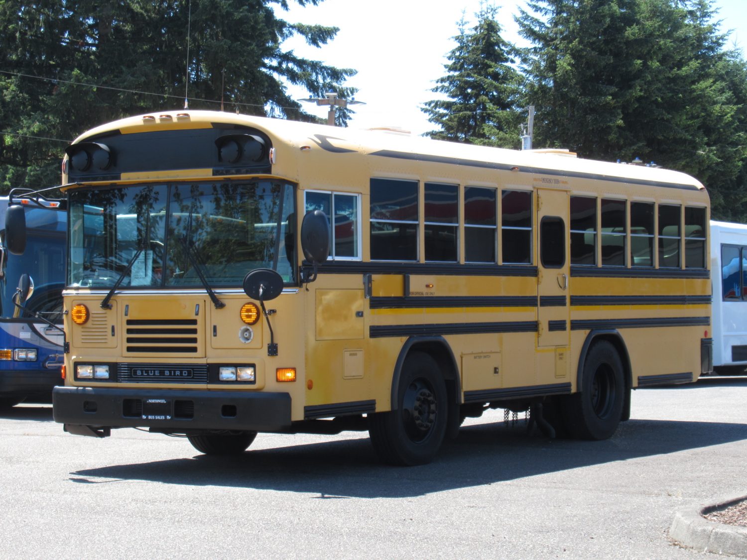 2006 Blue Bird All American 20 Passenger + 2 Wheelchair Short School Bus - B32332 - Image 2