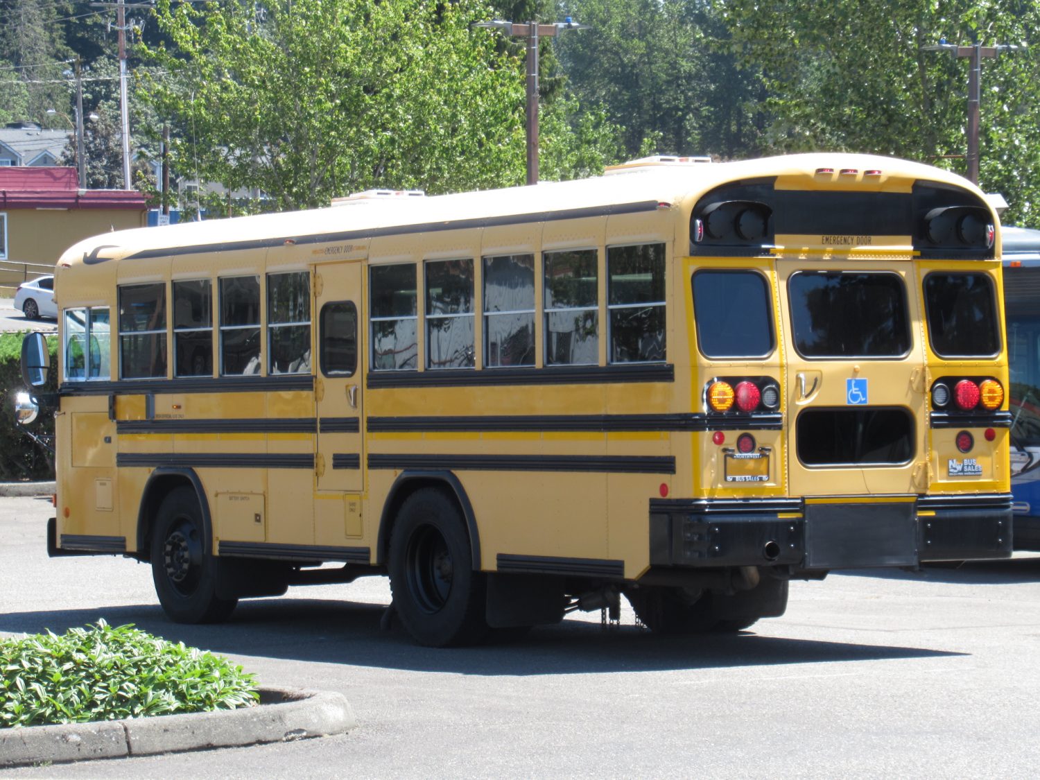 2006 Blue Bird All American 20 Passenger + 2 Wheelchair Short School Bus - B32332 - Image 4