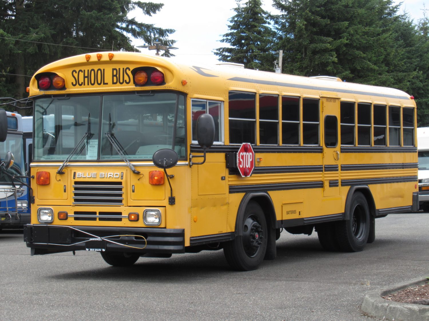 2003 Blue Bird TC-2000 Handy Bus Short School Bus - B07026 - Image 2