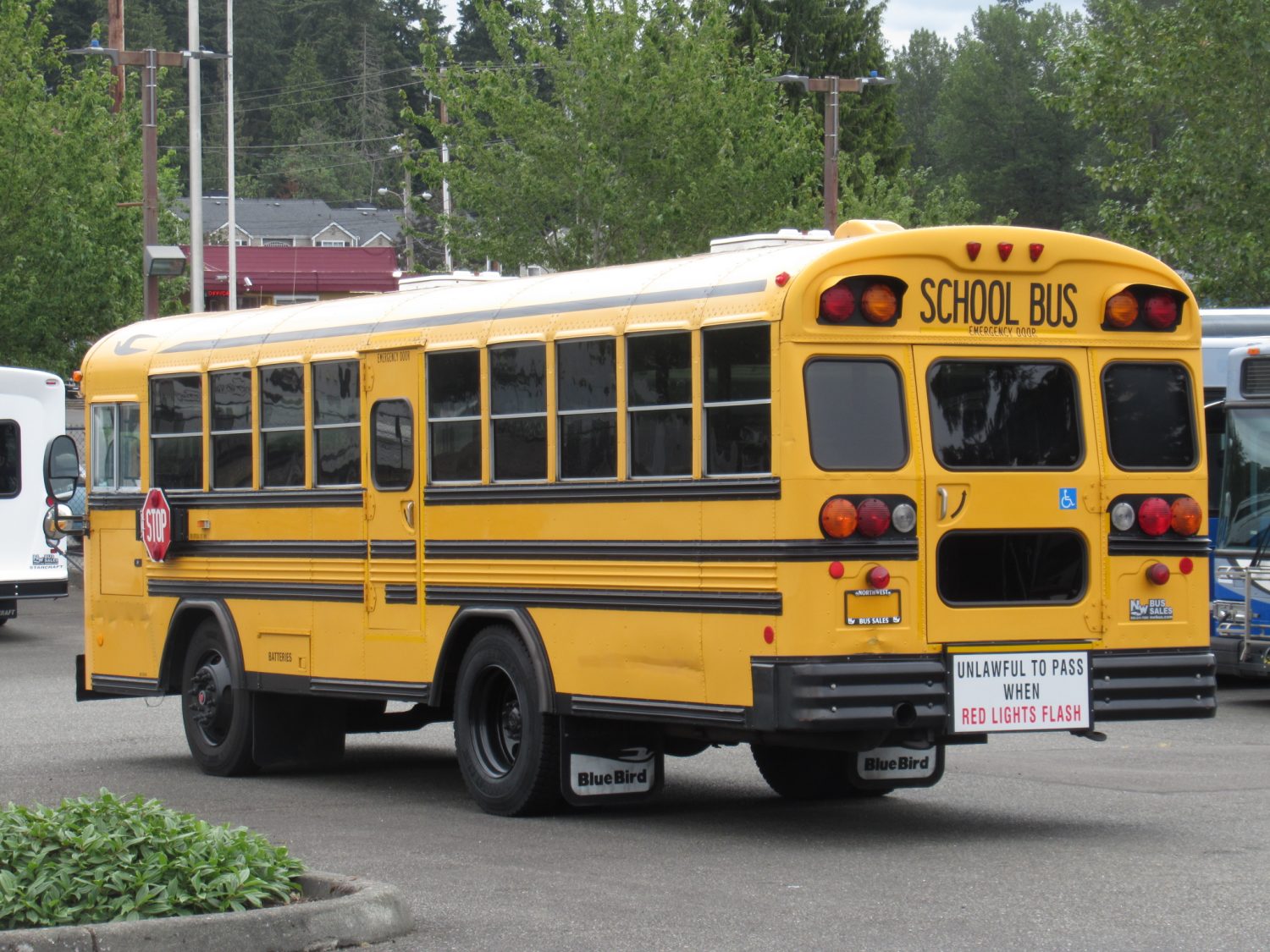 2003 Blue Bird TC-2000 Handy Bus Short School Bus - B07026 - Image 4