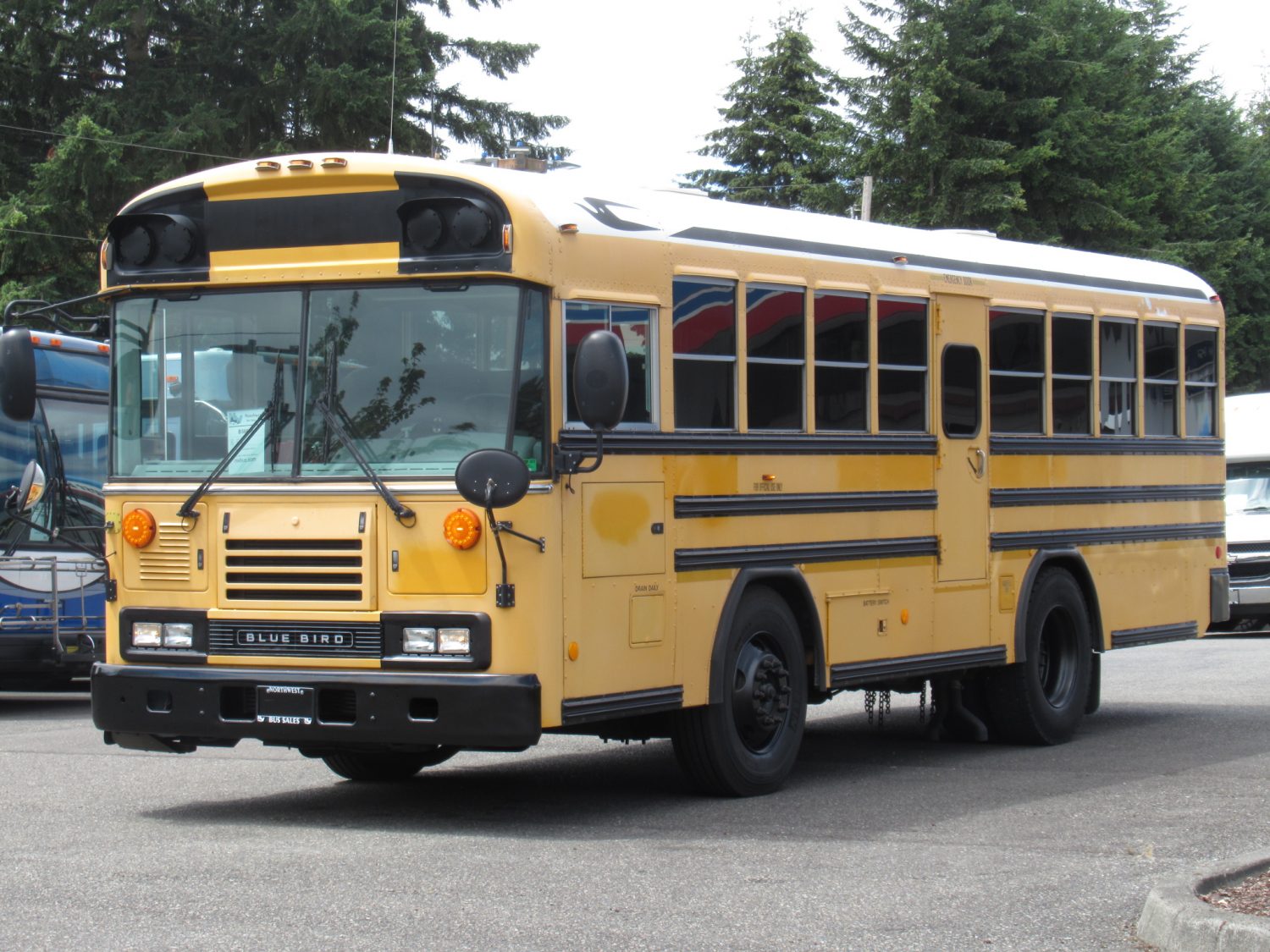 2009 Blue Bird All American 48 Passenger Short School Bus - B56638 - Image 2