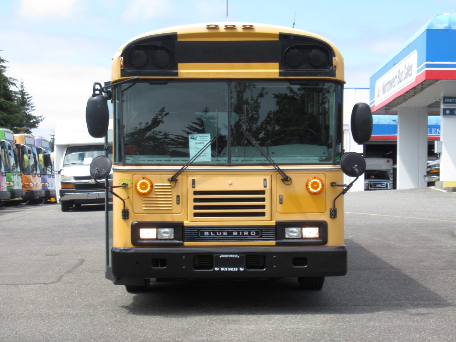2009 Blue Bird All American 48 Passenger Short School Bus - B56638 - Image 12