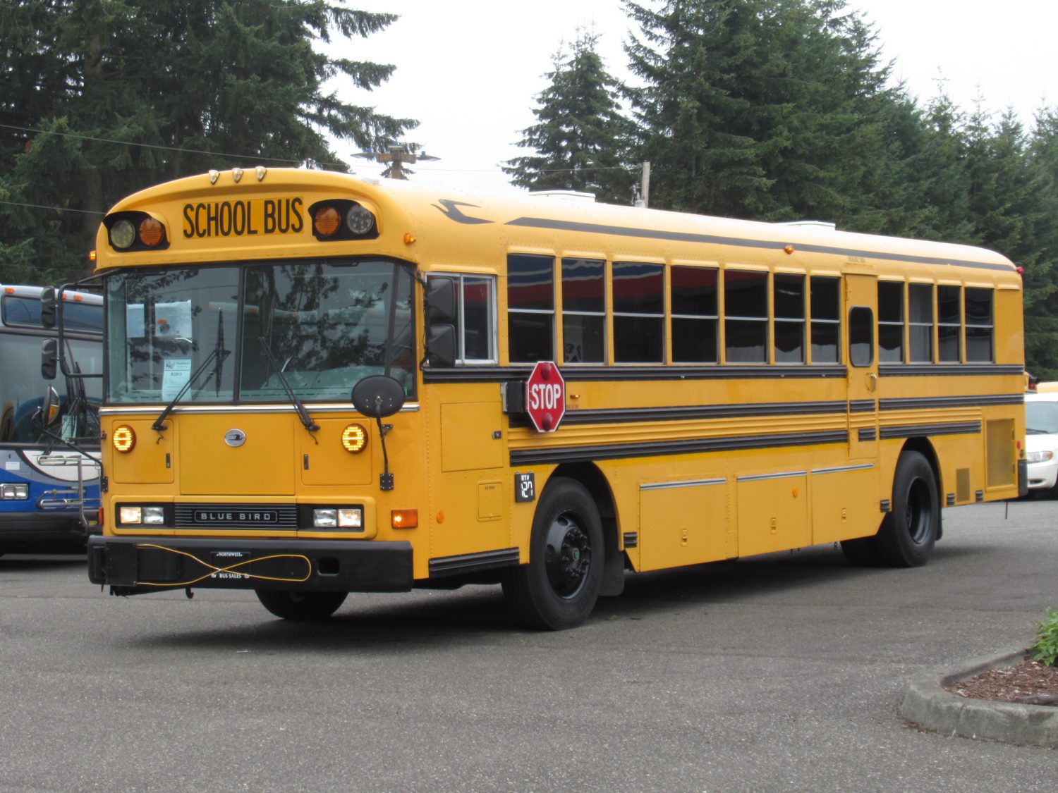 2005 Blue Bird All American 78 Passenger School Bus - B22915 - Image 2