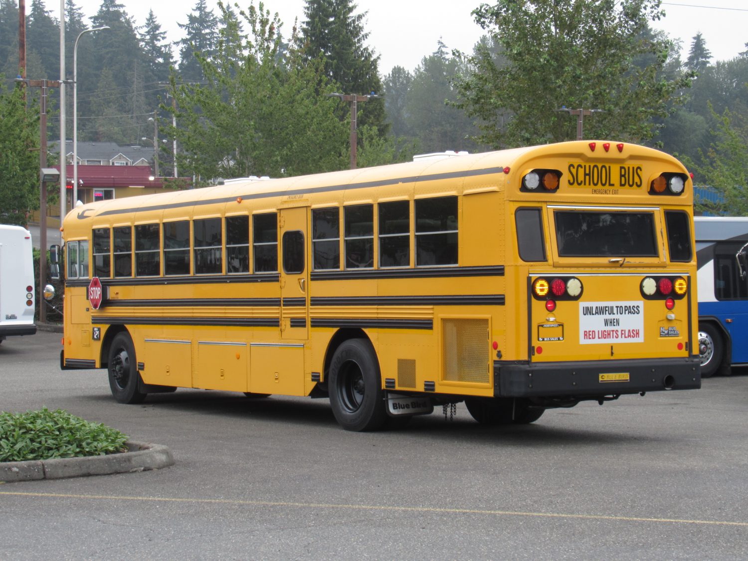 2005 Blue Bird All American 78 Passenger School Bus - B22915 - Image 4