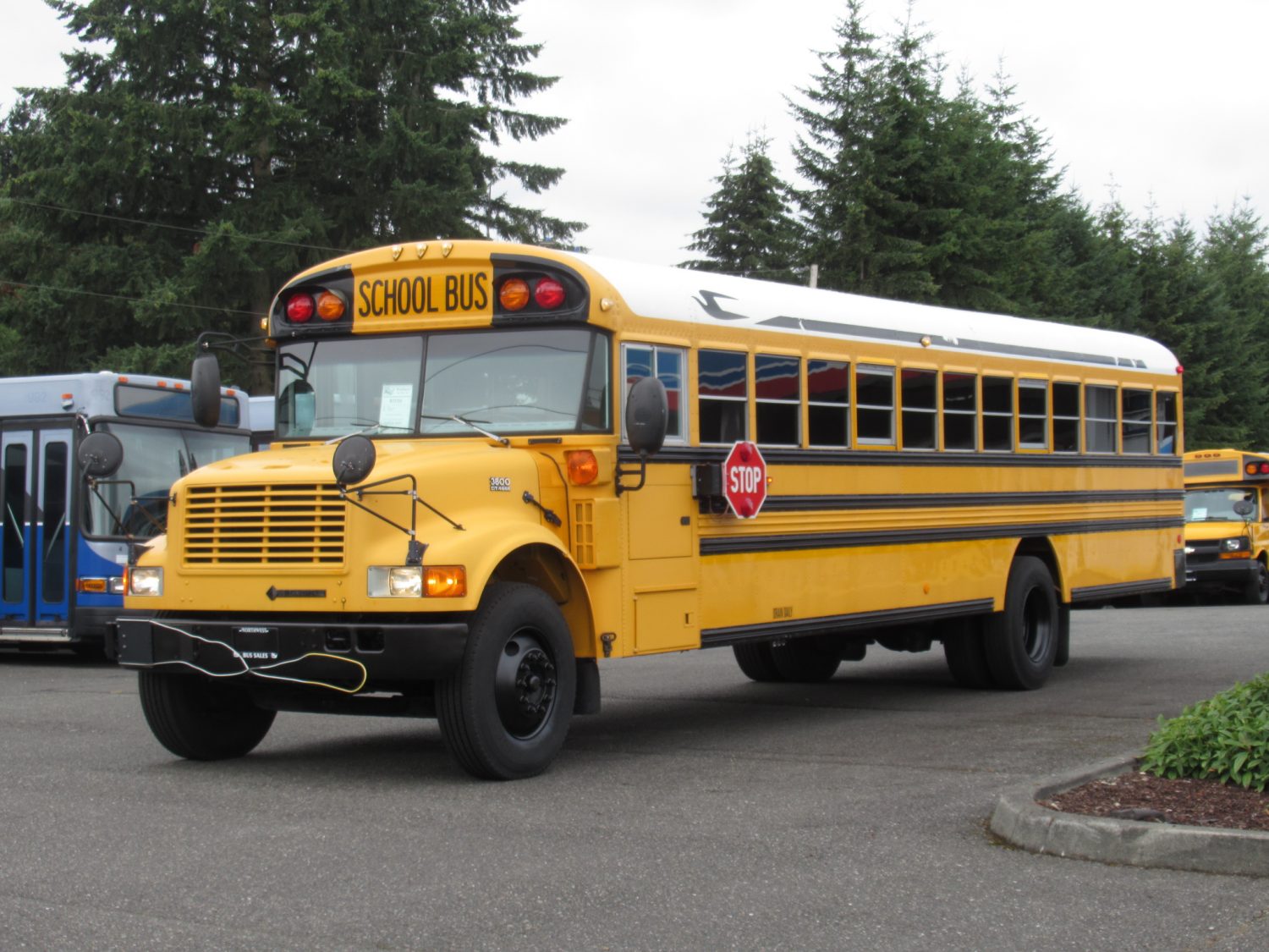 2004 International Blue Bird Conventional 72 Passenger School Bus - B73703 - Image 2