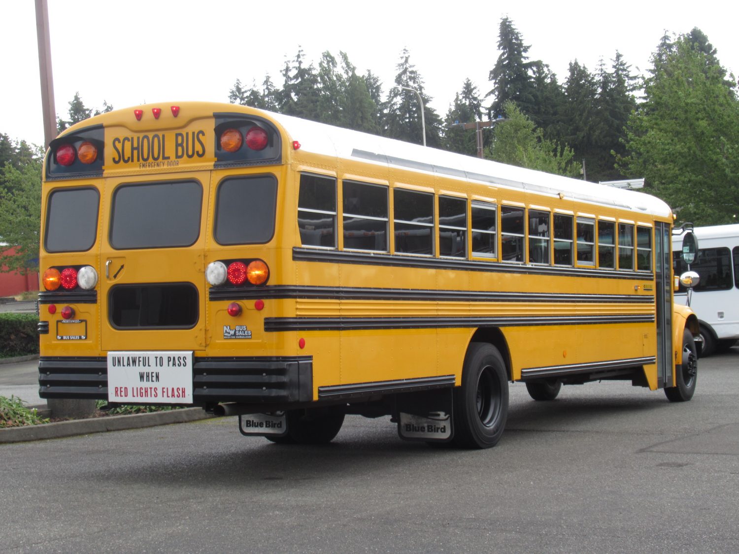 2004 International Blue Bird Conventional 72 Passenger School Bus - B73703 - Image 3