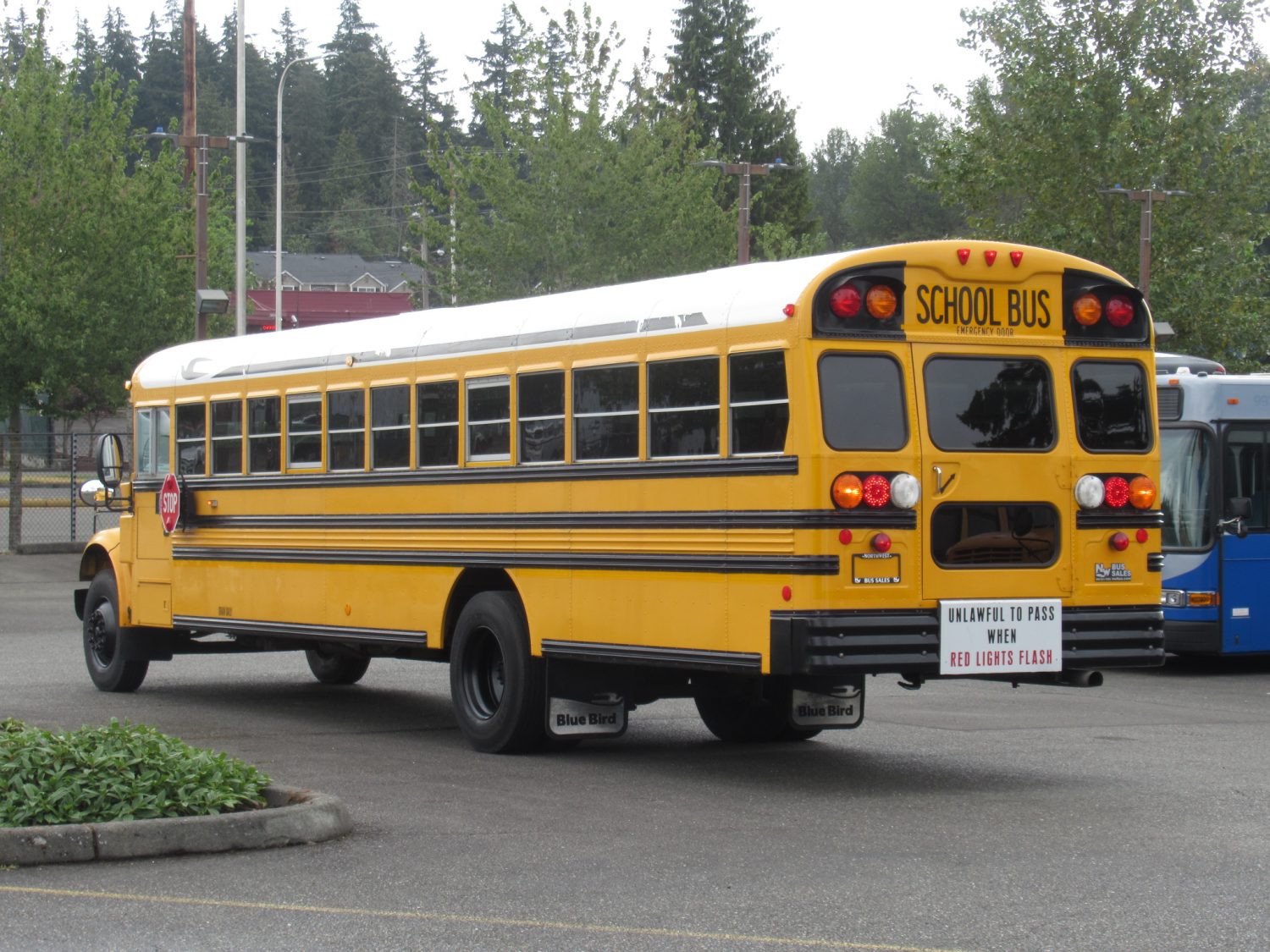 2004 International Blue Bird Conventional 72 Passenger School Bus - B73703 - Image 4