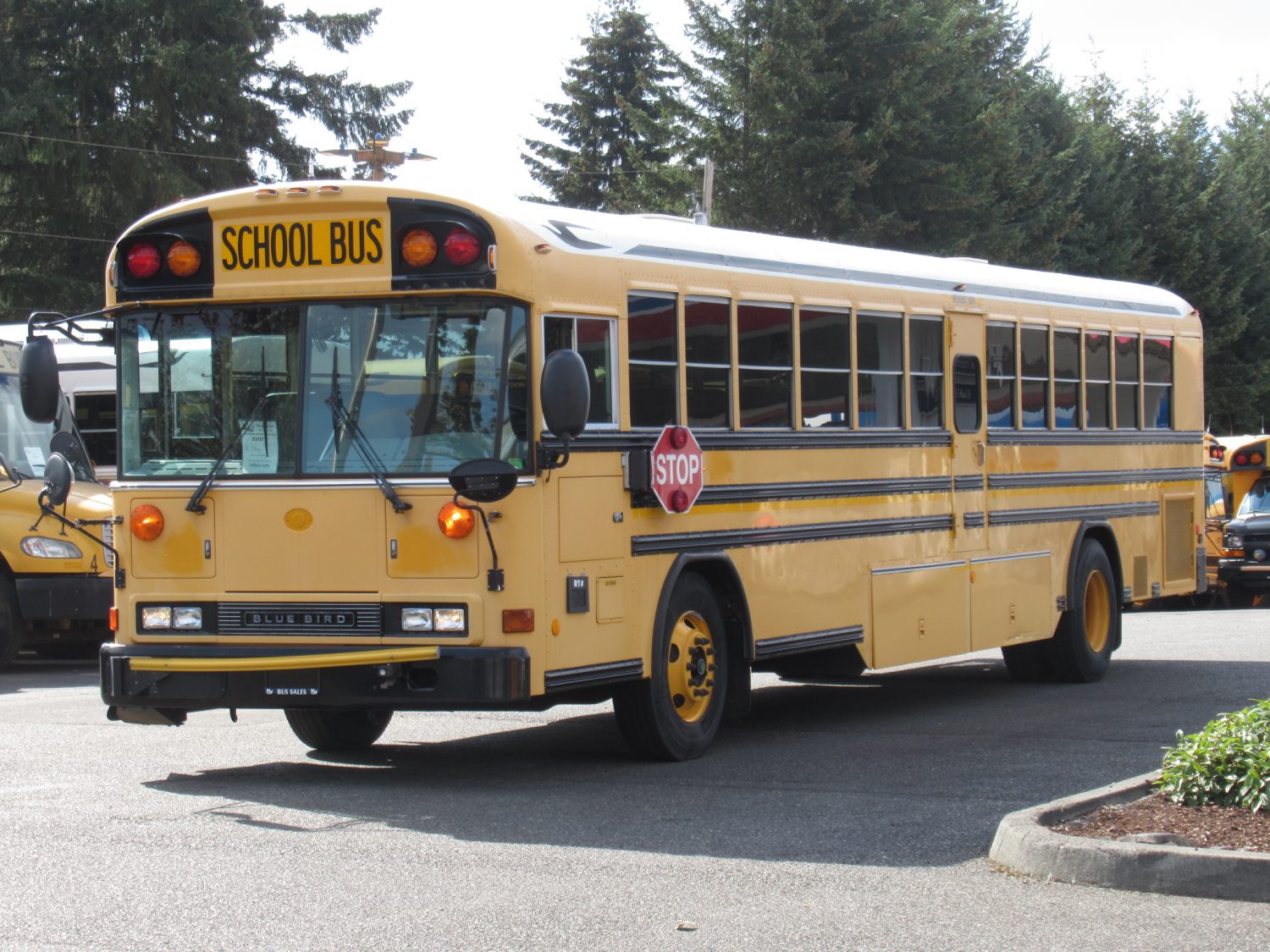 2007 Blue Bird All American 72 Passenger School Bus - B38877 - Image 2