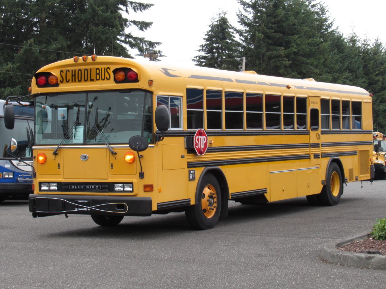 2005 Blue Bird All American 78 Passenger School Bus - B22923 - Image 2
