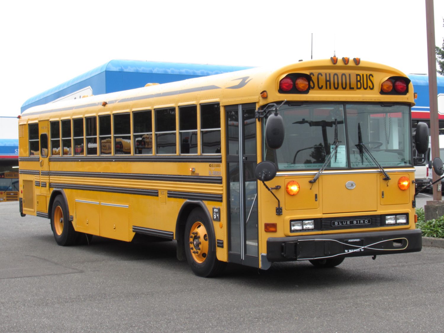 2005 Blue Bird All American 78 Passenger School Bus - B22923
